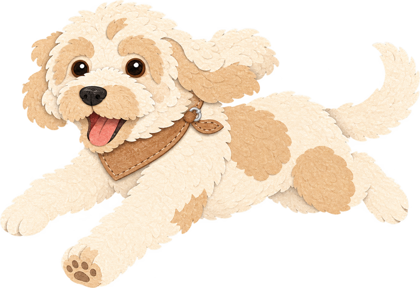 Cockapoo